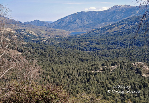 Sur la D84 Paysages en descendant du Vergio 491