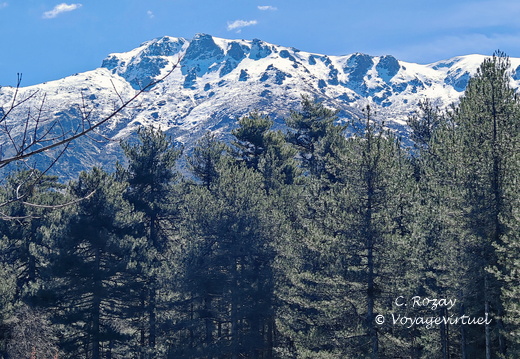 Sur la D84 Paysages en descendant du Vergio 496