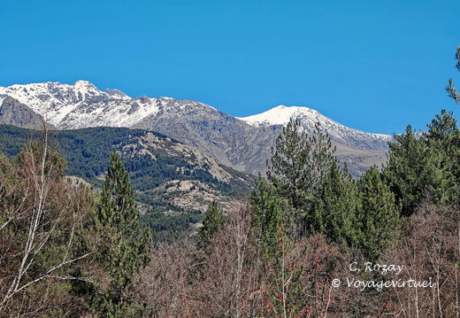 Sur la D84 Paysages en descendant du Vergio 497
