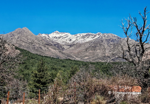 Sur la D84 Paysages en descendant du Vergio 500