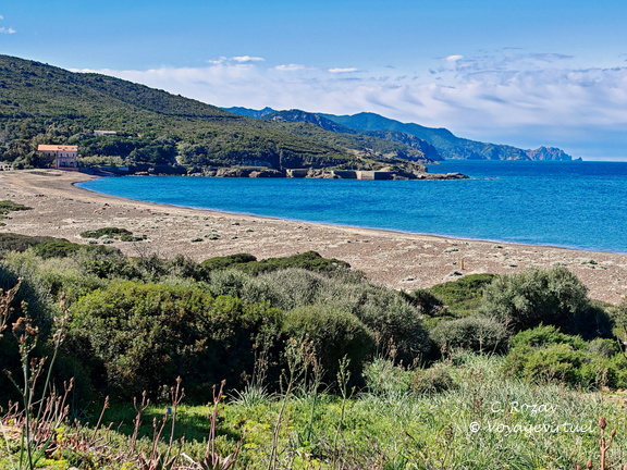 Galeria Plage de L Argentella 172