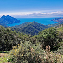 Girolata Col de Palmarella 188