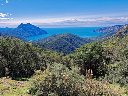 Girolata Col de Palmarella 188