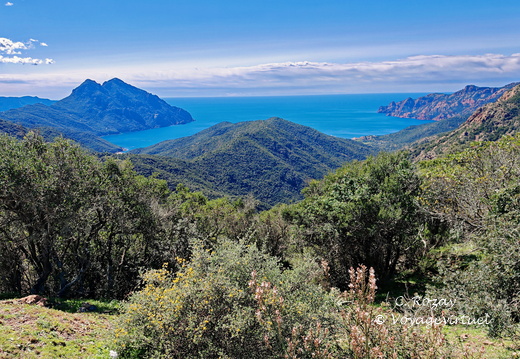 Girolata Col de Palmarella 188