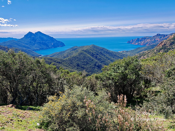 Girolata Col de Palmarella 188