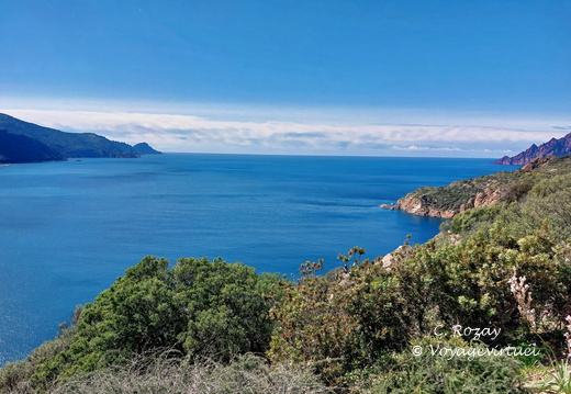 Sur la D81 Vue sur Golfe de Porto Bussaghia 209