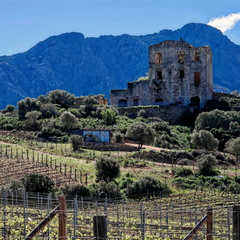 Sur la D81b Chateau du Prince Pierre Bonaparte 169