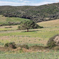 Sur la D81b Paysage 171