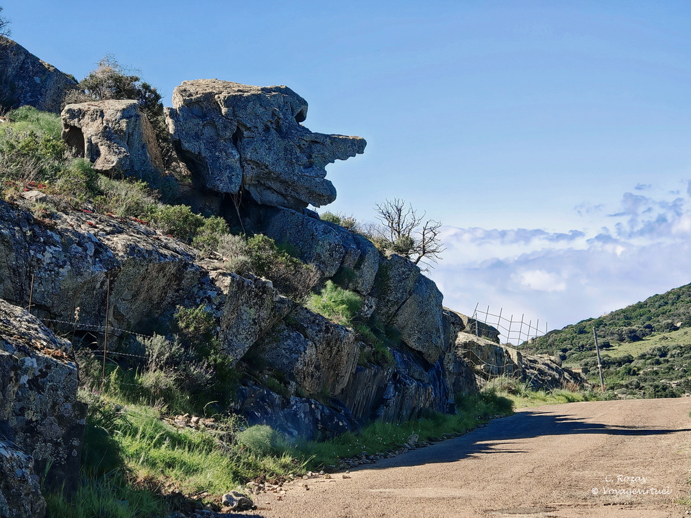 Sur la D81b Rocher tete au nez pointu 166