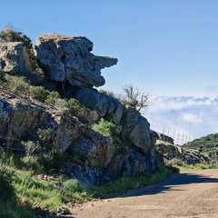 Sur la D81b Rocher tete au nez pointu 166