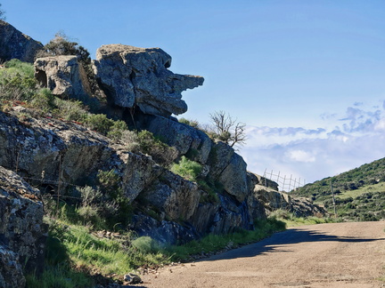 Sur la D81b Rocher tete au nez pointu 166