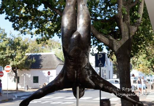 Stellenbosch 3