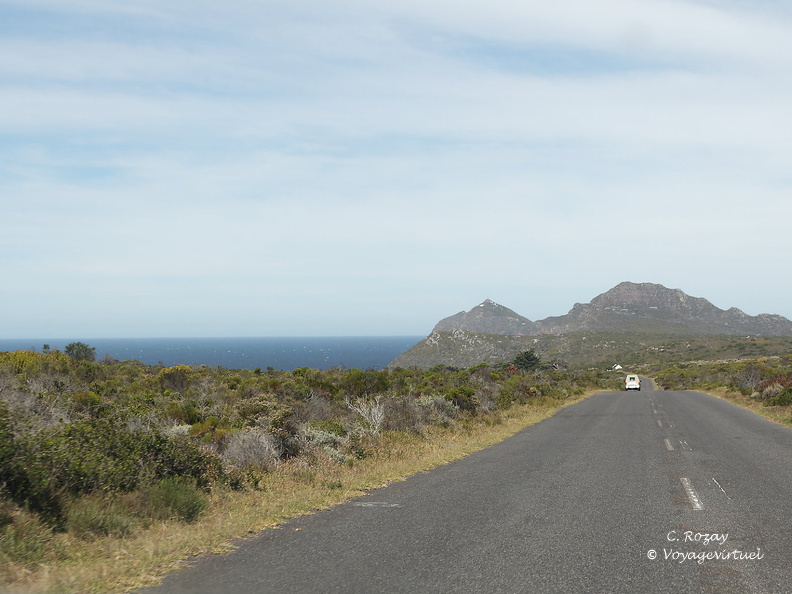 peninsule du cap de bonne esperance 001