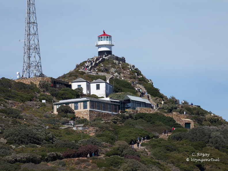 peninsule du cap de bonne esperance 007