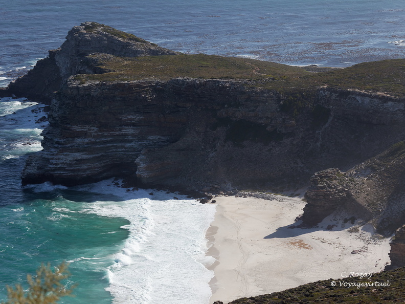 peninsule du cap de bonne esperance 017