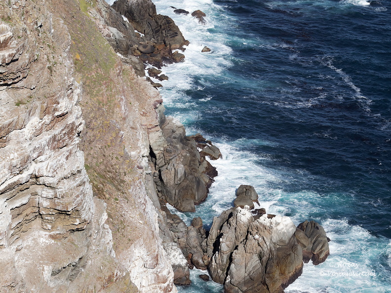 peninsule du cap de bonne esperance 020