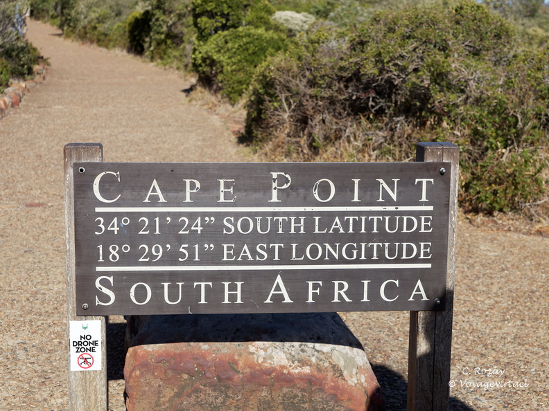 peninsule du cap de bonne esperance 032