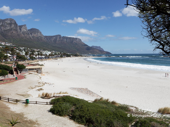 Cape Town camps bay 020