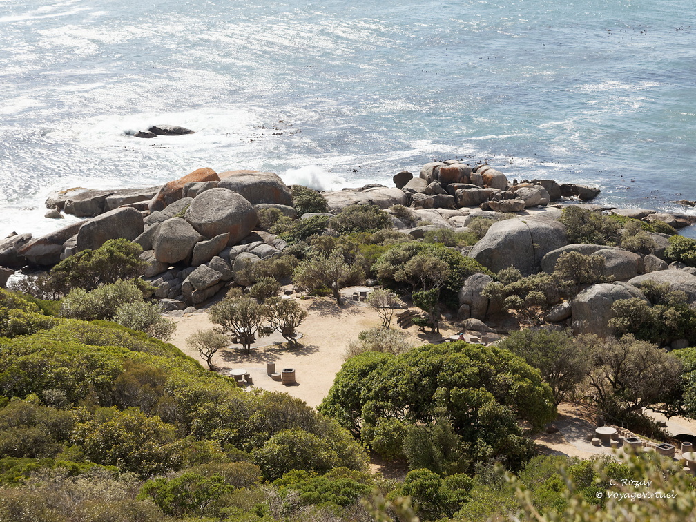 Cape Town oudekraal 022