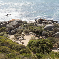 Cape Town oudekraal 022