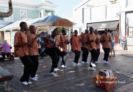 Cape Town waterfront 060
