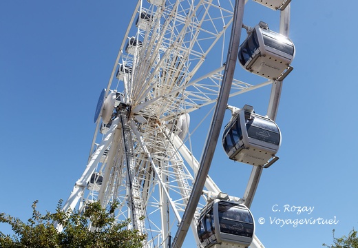 Cape Town waterfront 062