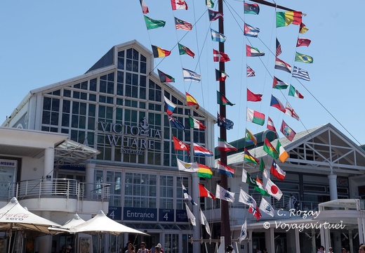 Cape Town waterfront 063