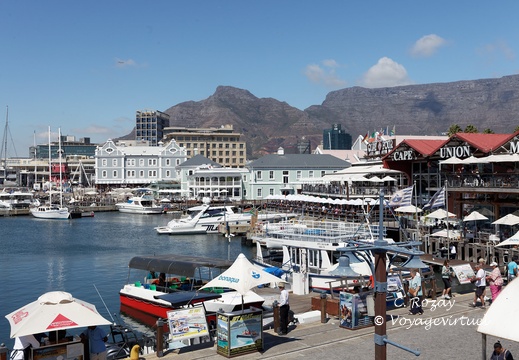 Cape Town waterfront 065