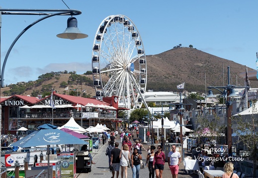 Cape Town waterfront 071
