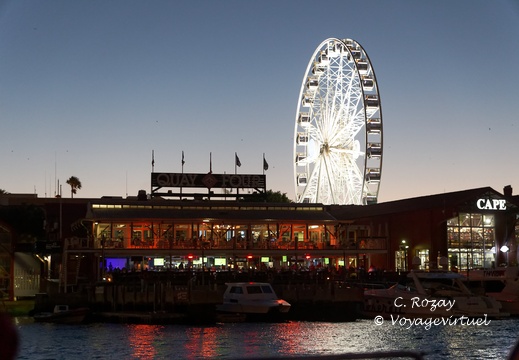 Cape Town waterfront by night 006