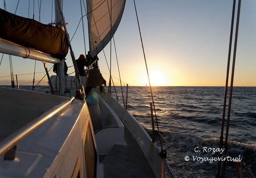 croisiere au coucher du soleil Cape Town 013
