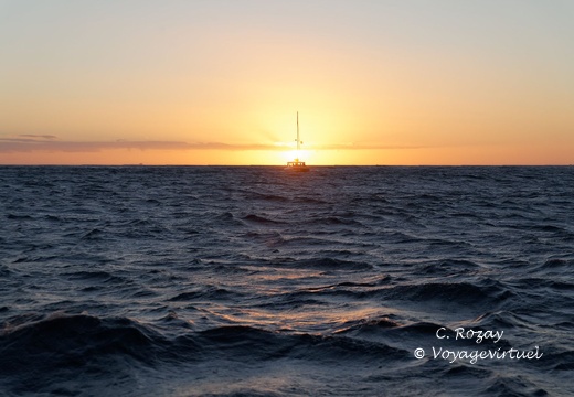croisiere au coucher du soleil Cape Town 020