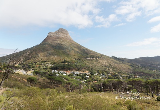 Lions head Cape Town 3