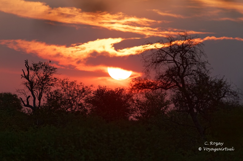 Coucher de soleil sur la savane, Klaserie Réserve.  Klaserie Nature Reserve