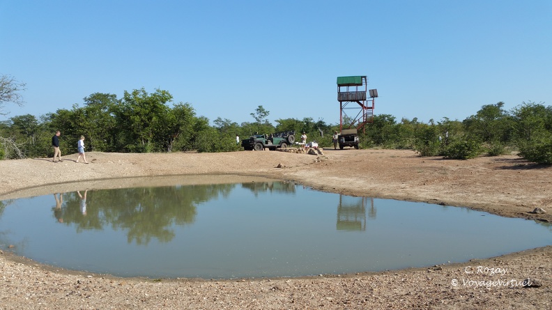 Les 4x4 du Gomo Gomo lodge près d'un point d'eau et d'une tour d'observation au milieu de la Klaserie Reserve. Klaserie Nature Reserve