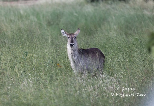Kruger park 180