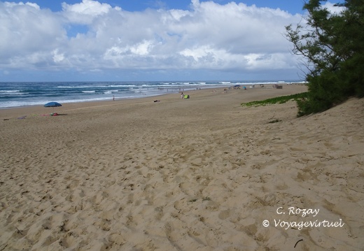 sainte Lucia wetland park vidal cape 062