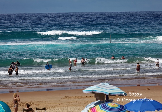 sainte Lucia wetland park vidal cape 074