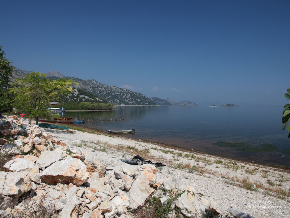 murici skadarsko jezero scutari 17