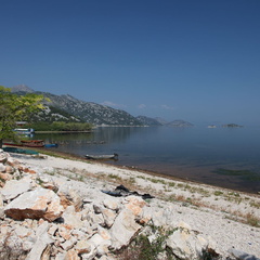 murici skadarsko jezero scutari 17