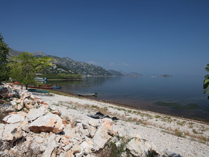 murici skadarsko jezero scutari 17