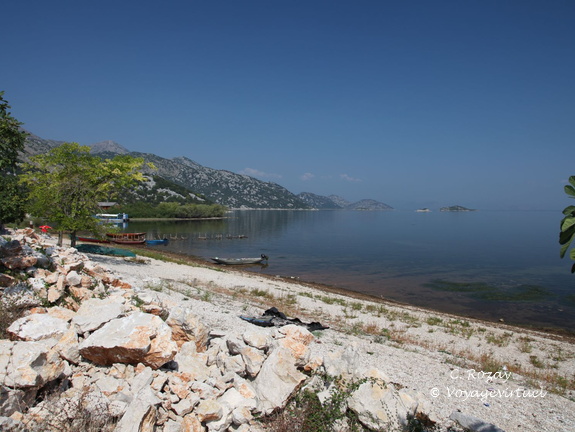 murici skadarsko jezero scutari 17