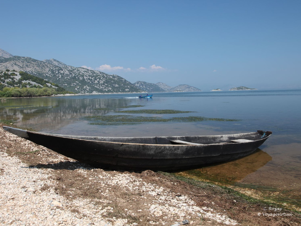 murici skadarsko jezero scutari 2