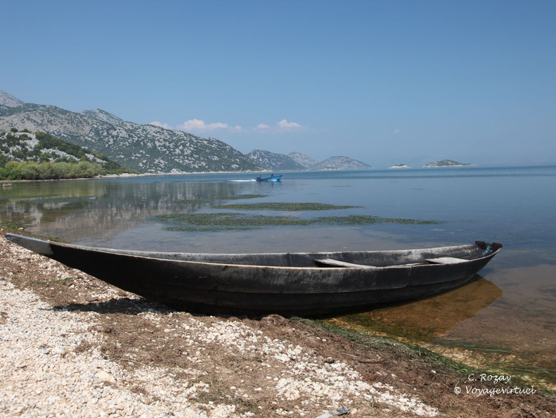 murici skadarsko jezero scutari 2