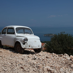 murici skadarsko jezero scutari 4