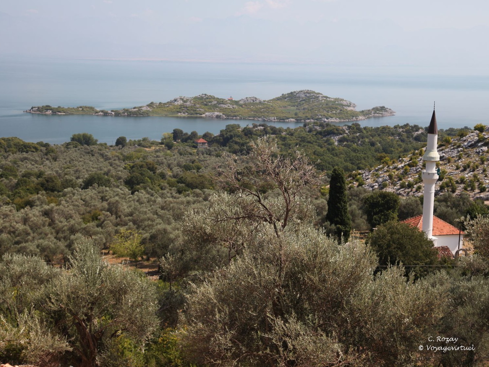 murici skadarsko jezero scutari 6