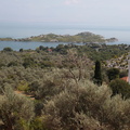 murici skadarsko jezero scutari 6