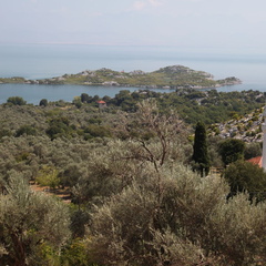 murici skadarsko jezero scutari 6