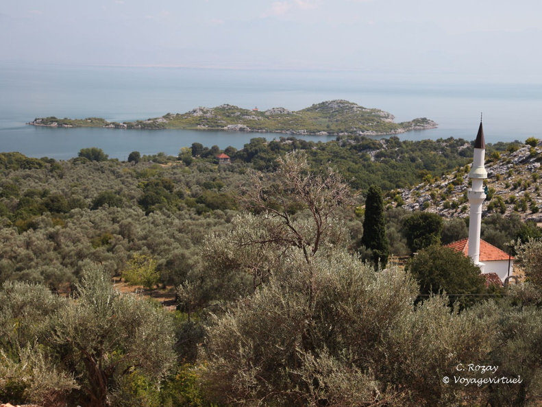 murici skadarsko jezero scutari 6