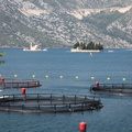 prcani bouches de kotor 4